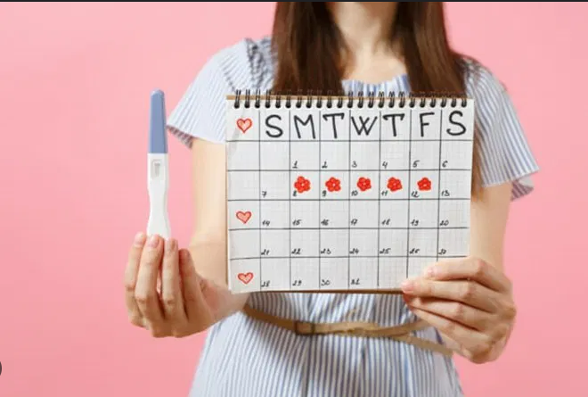 Menghitung Masa Subur: Cara Sederhana yang Bisa Dilakukan