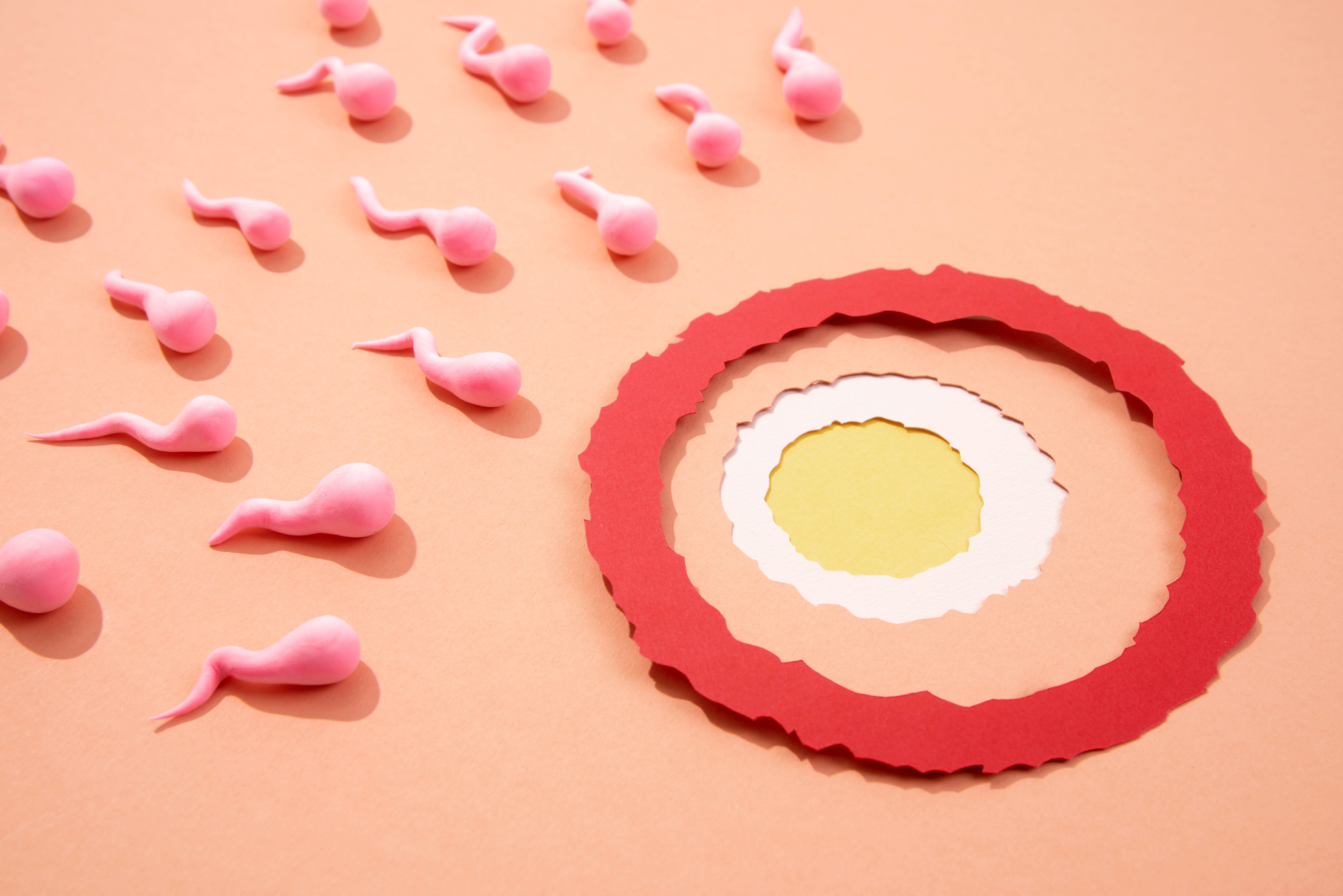 Pendekatan Holistik Reproduktif